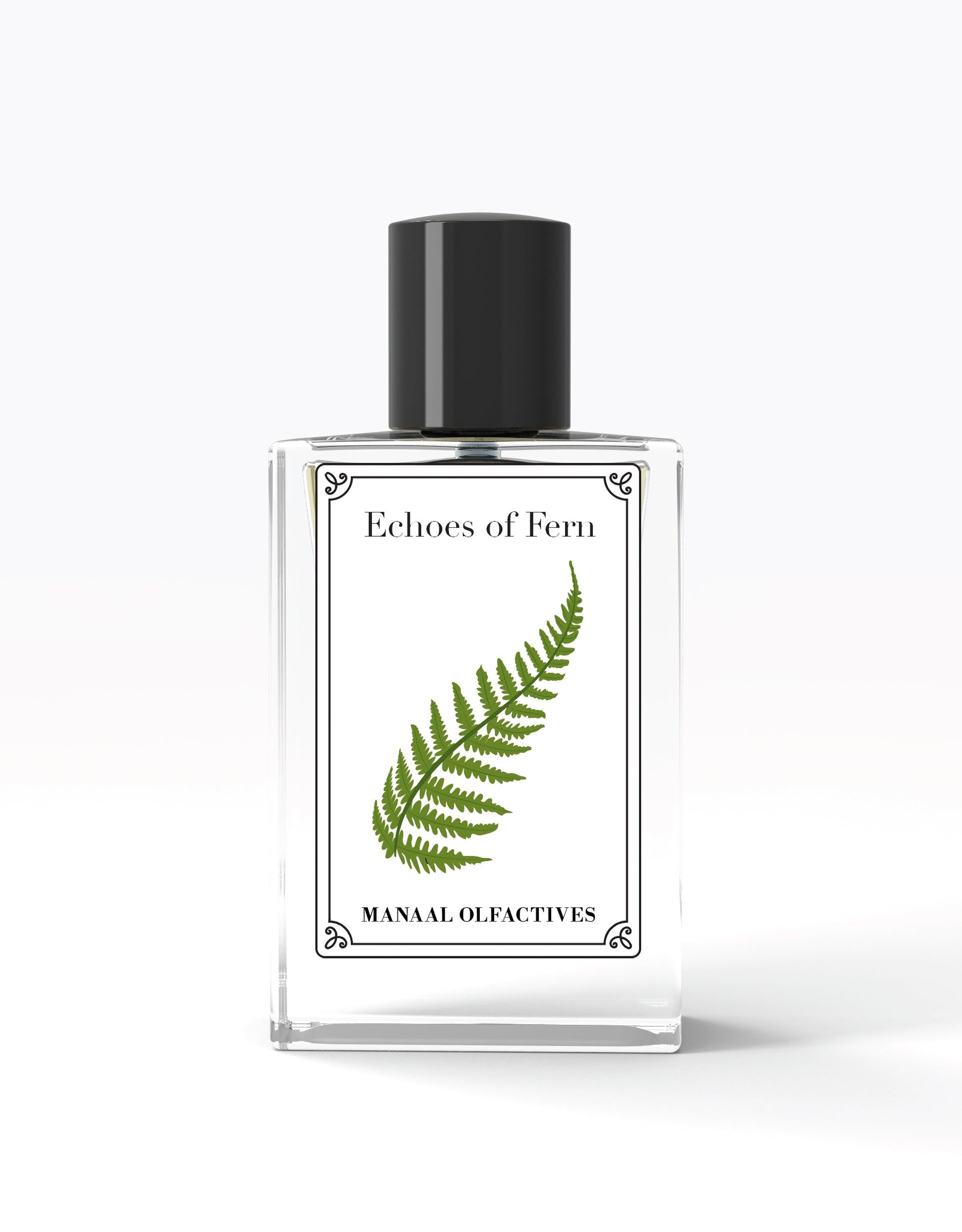 Echoes of Fern | Amouage Bracken Man