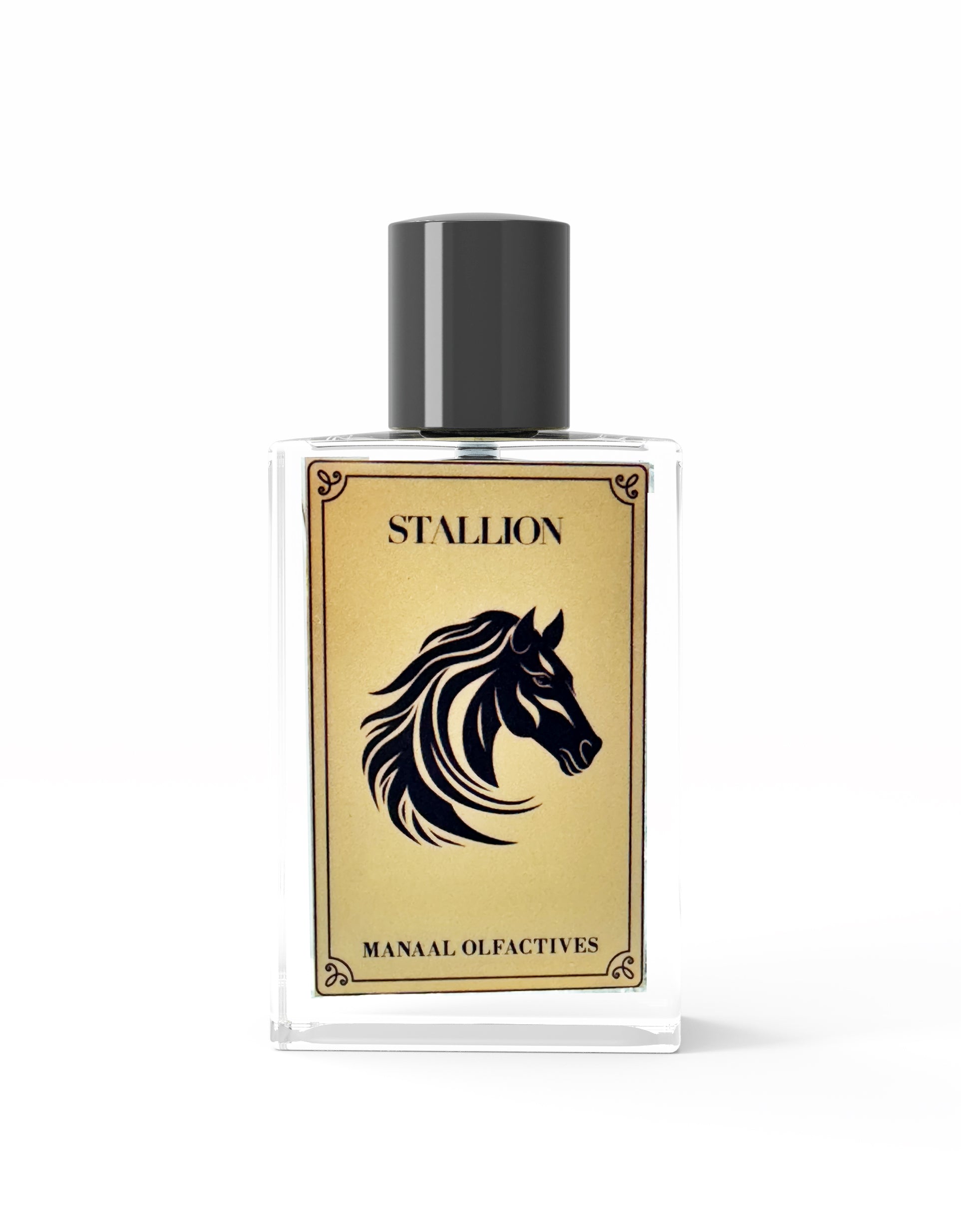 Stallion | Oud Stallion M.Crivelli